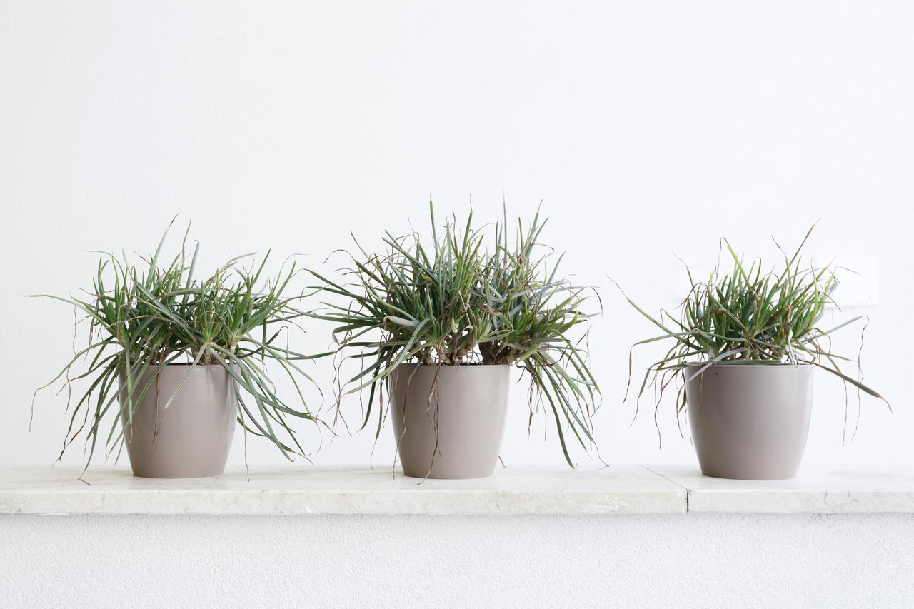 Minimal Rooms Gallipoli Luaran gambar